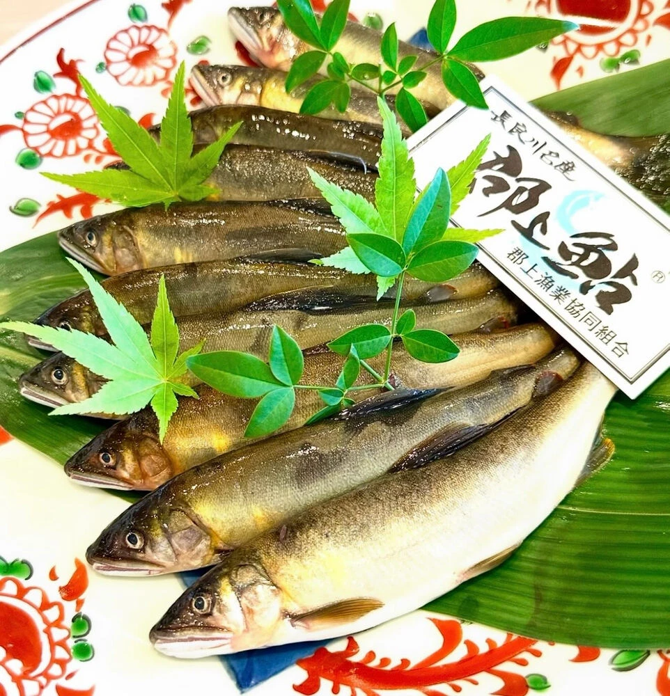 ブログ画像